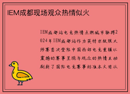 IEM成都现场观众热情似火