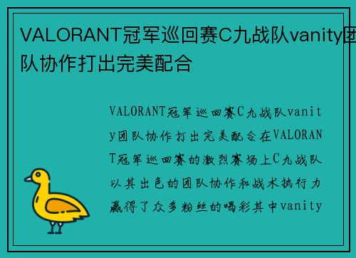 VALORANT冠军巡回赛C九战队vanity团队协作打出完美配合