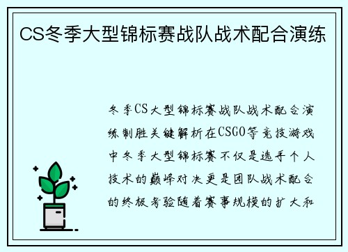 CS冬季大型锦标赛战队战术配合演练