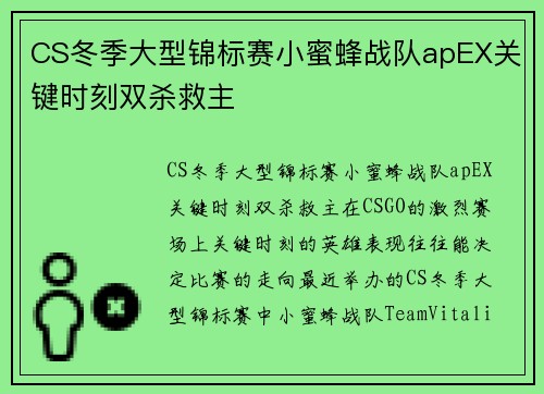 CS冬季大型锦标赛小蜜蜂战队apEX关键时刻双杀救主