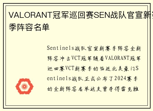 VALORANT冠军巡回赛SEN战队官宣新赛季阵容名单