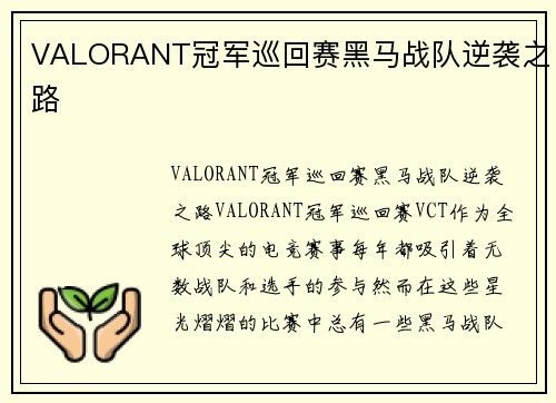 VALORANT冠军巡回赛黑马战队逆袭之路